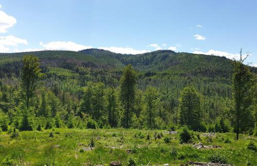 Haus Bergblick - Foto 79