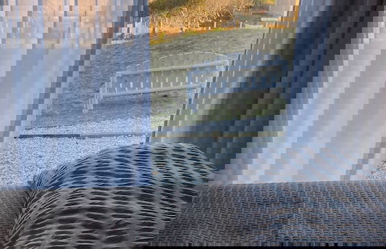 Las Marinas BH - Photo 4