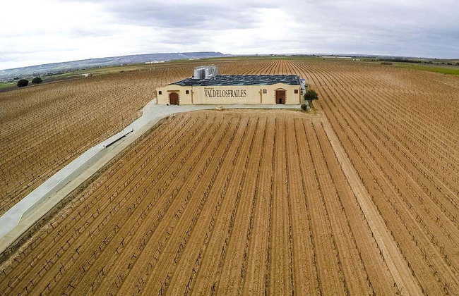 Excursão à adega Valdelosfrailes - Foto 3