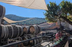 La Cigotà - Villa with swimming pool for 8 people - Foto 46