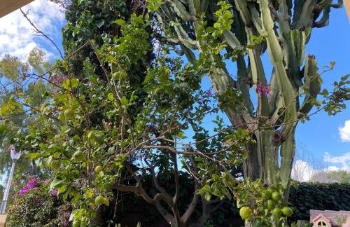 New - MiJa basement Loft Apartment steps from Beach - perfect for Sun and Sport Seekers - Foto 23