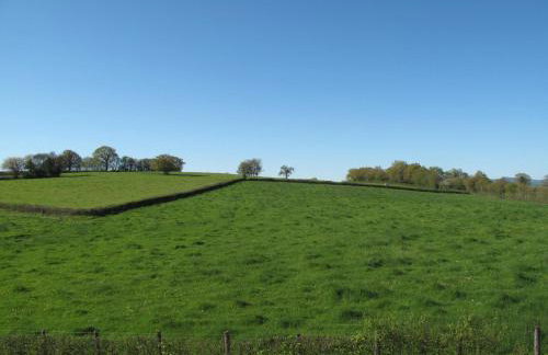 Holiday Home Les Brûles by Interhome - Photo 21