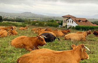 Finca La Torre con piscina - Foto 73