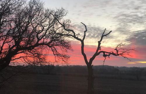 Larks Rise - Foto 19