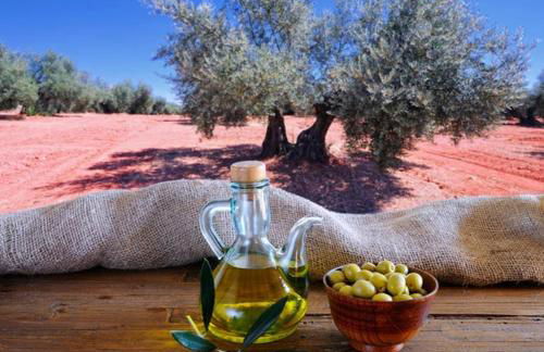 Casa das Arcadas, free Garage - Praça de Giraldo - Foto 30