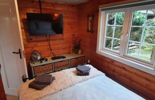 Snowdonia Escapes # TRANQUIL CABIN with Views, Wi-Fi, Dog Friendly & Parking - Foto 9