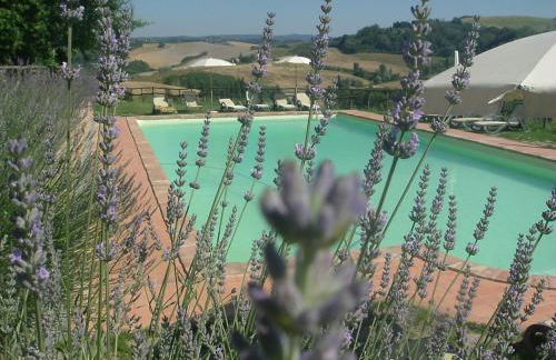 Antonella House -Podere della Collina - Foto 29