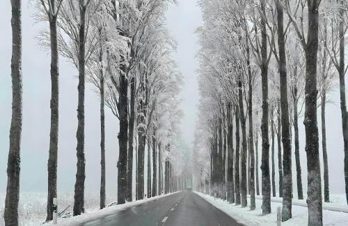 Seezauber direkt am Wasser - Foto 41