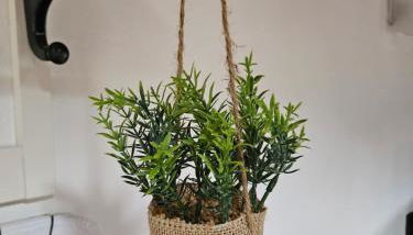 Casa Elisa e Casa Giuliana a Badalucco - Photo 1