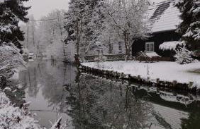 NEU Luxuriöses Tinyhaus Ferienhaus FREYR einmalig in Lübbenau - Foto 35