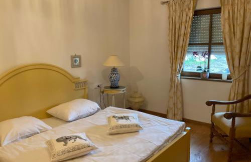 Szilvias Ferienwohnung - Foto 17