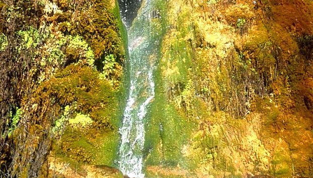 Una cascada en el camino