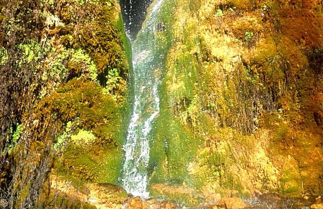 Quejigares de Barriopedro & Brihuega Hiking Tour - Photo 5