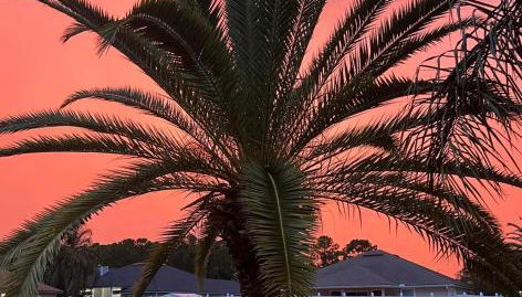 Ultimate Backyard Oasis, Heated Pool, Spa and Lake - Foto 3