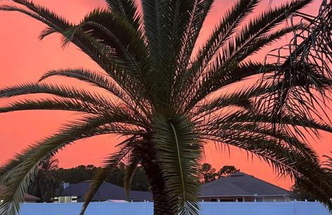 Ultimate Backyard Oasis, Heated Pool, Spa and Lake - Foto 3