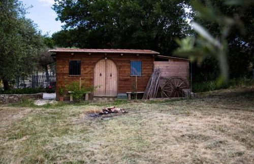 Agriturismo Il Borgo - Foto 48