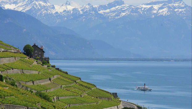 Viñedos de Lavaux