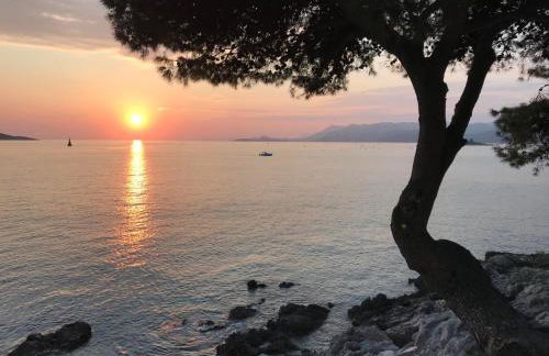 Apartments Kralj Ana - Foto 7