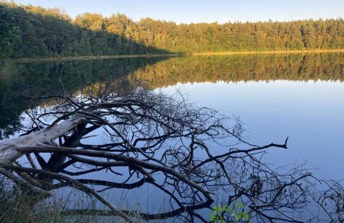 Strefa Natur dom z jacuzzi na wyłączność - Foto 24