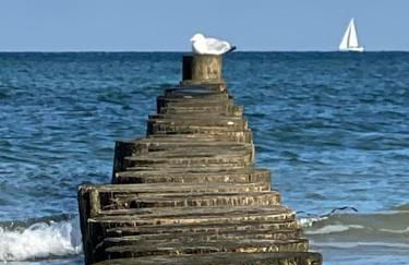 Ostsee - Appartement Nr 81 "Auszeit" im Strand Resort - Foto 22