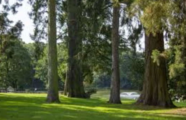 Lakes and Woodlands Overstone Holiday Park - Foto 33