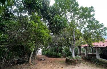 Sítio na Serra de Mulungu - Foto 7