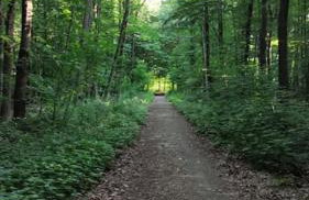 Naturnah in Hellenthal - Photo 23