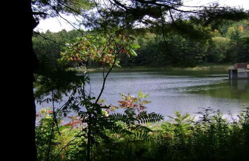 Luxury Yurt Rental Hidden in the Forest near Bristol, Vermont - Foto 32