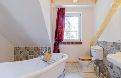 Welsh Dragon - Foto 25