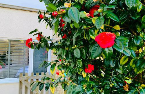 Beautiful Garden Room with Private Entrance - Foto 12