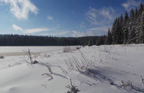 Apartment Fewo Am Skihang OG by Interhome - Foto 9