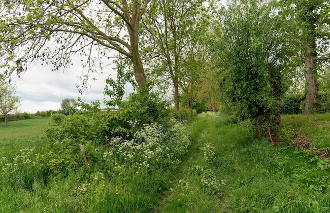 Comfy Holiday Home in Voerendaal - Photo 39