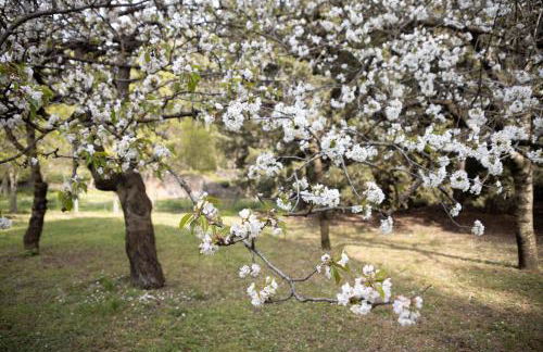 Parco Statella - Foto 48
