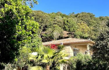 Villa with pool, sea view, Ste Lucie de Porto-Vecchio - Foto 14