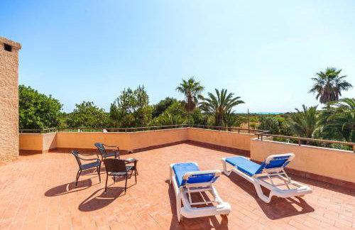 Finca Sanau - Foto 11