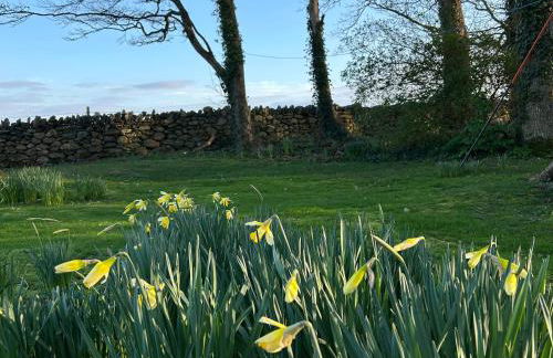 Bodior Garden Cottage Bach - Photo 27