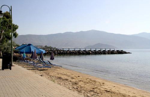 Hotel Stella - Photo 35