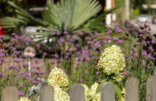 Apartment Haus Lang - Foto 48