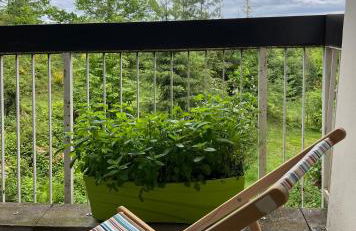 Studio entre forêt et vignoble ! - Foto 7