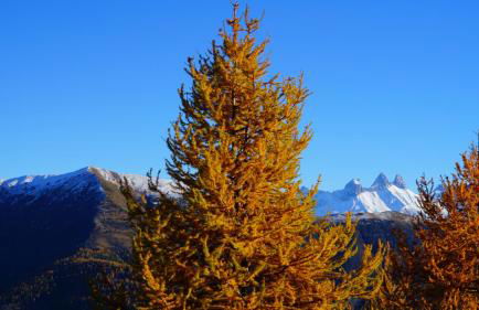 Résidence Goélia Les Chalets des Ecourts - Foto 31