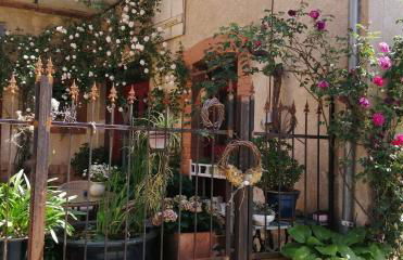 FeWo Winzerhaus 1900 - Foto 1