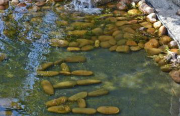 Casa de Campo Sossego da Lata - Foto 15