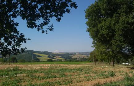 Casa Trastullo - Foto 16