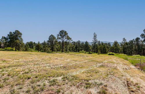 Mountain Escape Nestled in Quaint, Historic Mancos - Foto 23