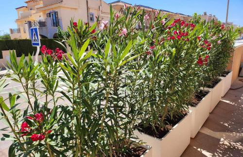 Higuericas Playa - Foto 15