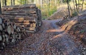 Ferienhaus Wanderlust - Photo 30