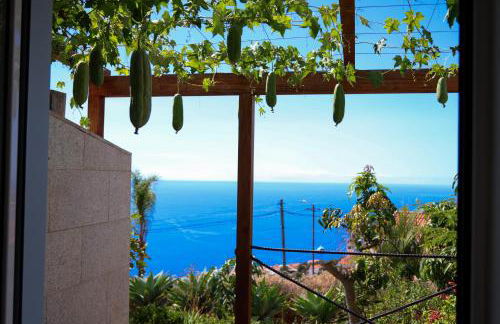 FLH Funchal Studio Blue View Gardens - Foto 2