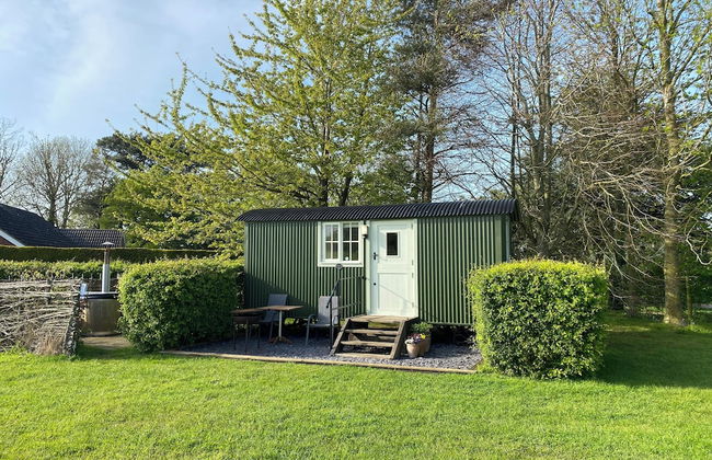 Dawn Chorus Holidays - Foto 75