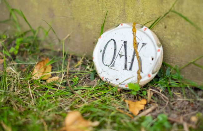 Oak Cottage - Foto 9