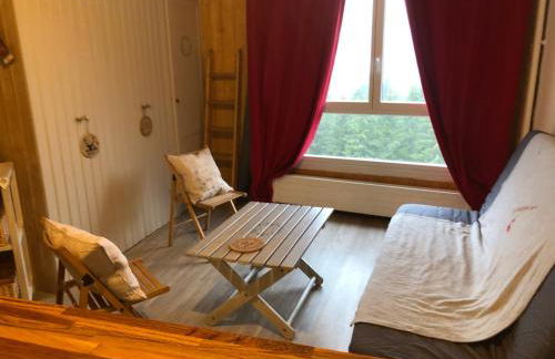 studio tout confort au pied des pistes du lioran - Foto 1